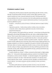 Protokolo istorija 2 puslapis