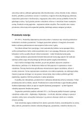 Protokolo istorija 3 puslapis