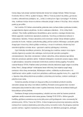 Protokolo istorija 4 puslapis