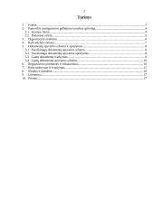 Raštvedybos sistemos analizė: Panevėžio priešgaisrinė gelbėjimo tarnyba 2 puslapis
