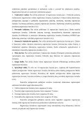 Raštvedybos sistemos analizė: Panevėžio priešgaisrinė gelbėjimo tarnyba 11 puslapis