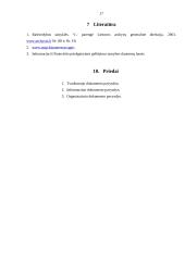 Raštvedybos sistemos analizė: Panevėžio priešgaisrinė gelbėjimo tarnyba 17 puslapis