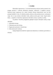 Raštvedybos sistemos analizė: Panevėžio priešgaisrinė gelbėjimo tarnyba 3 puslapis