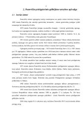 Raštvedybos sistemos analizė: Panevėžio priešgaisrinė gelbėjimo tarnyba 4 puslapis
