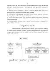Raštvedybos sistemos analizė: Panevėžio priešgaisrinė gelbėjimo tarnyba 6 puslapis
