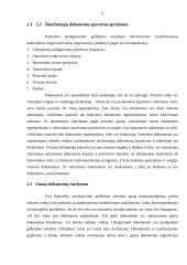Raštvedybos sistemos analizė: Panevėžio priešgaisrinė gelbėjimo tarnyba 9 puslapis