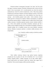 Situacijos aprašymas ir analizė 5 puslapis