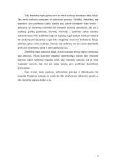 Situacijos aprašymas ir analizė 6 puslapis