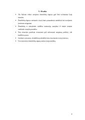 Situacijos aprašymas ir analizė 8 puslapis