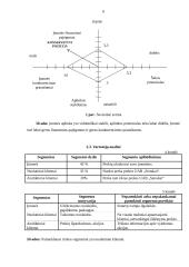Situacijos analizė: UAB "Senukai" 6 puslapis