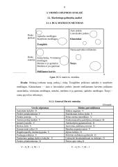 Situacijos analizė: UAB "Senukai" 8 puslapis