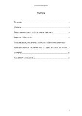 Specialybės kalbos aprašas 2 puslapis