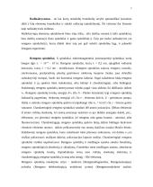 Spinduliavimai 2 puslapis