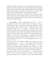 Spinduliavimai 3 puslapis