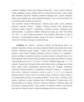 Spinduliavimai 4 puslapis