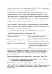 Statybos teisės principai 2 puslapis