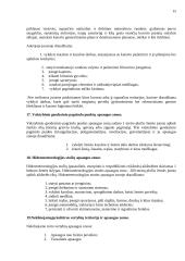 Statybos teisės principai 15 puslapis