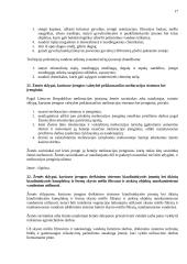 Statybos teisės principai 17 puslapis