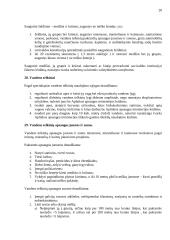 Statybos teisės principai 20 puslapis