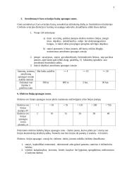 Statybos teisės principai 3 puslapis