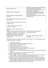 Statybos teisės principai 5 puslapis