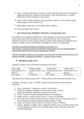 Statybos teisės principai 6 puslapis