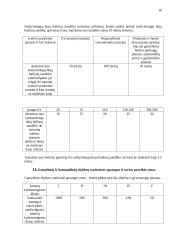 Statybos teisės principai 10 puslapis