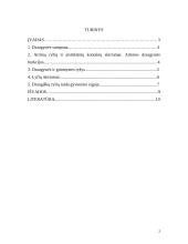 Suaugusiojo socialinė raida: draugystė 2 puslapis