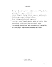 Suaugusiojo socialinė raida: draugystė 9 puslapis