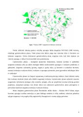 Šereitlaukio miško gamtotvarkos planas 4 puslapis