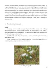 Šereitlaukio miško gamtotvarkos planas 10 puslapis
