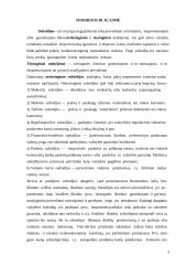 Tarptautinės prekybos sąlygų ir gamybos galimybių ribų analizė esant visiškai specializacijai 3 puslapis