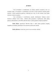 Turto nuvertėjimo bei nusidėvėjimo skaičiavimo metodai 2 puslapis