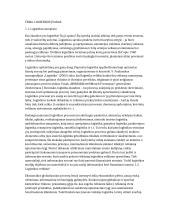 Logistikos paskaitų teorija