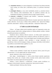 Vadovavimo esmė ir priemonės 13 puslapis