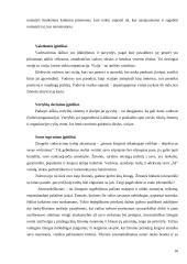Vadovavimo esmė ir priemonės 16 puslapis