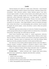 Vadovavimo esmė ir priemonės 3 puslapis