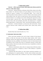 Vadovavimo esmė ir priemonės 5 puslapis