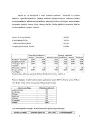 Valdymo apskaita UAB “Batų sala” 3 puslapis