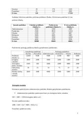 Valdymo apskaita UAB “Batų sala” 5 puslapis