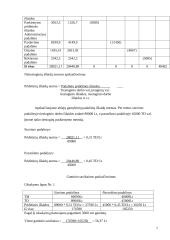 Valdymo apskaita UAB “Batų sala” 7 puslapis