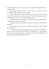 Vandens apsauga 12 puslapis