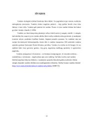 Vandens apsauga 13 puslapis