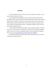 Vandens apsauga 3 puslapis