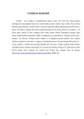 Vandens apsauga 4 puslapis