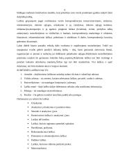 Verslo korespondencija 2 puslapis