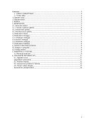 Verslo planas: "Auto1 krovinių pervežimai" 2 puslapis