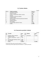 Verslo planas: "Auto1 krovinių pervežimai" 12 puslapis