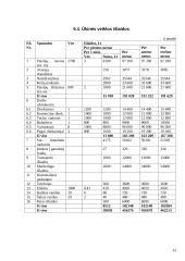 Verslo planas: "Auto1 krovinių pervežimai" 13 puslapis