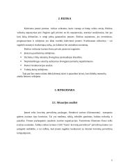 Verslo planas: "Auto1 krovinių pervežimai" 5 puslapis